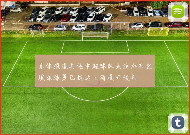 东体报道其他中超球队关注加布里埃尔球员已抵达上海展开谈判