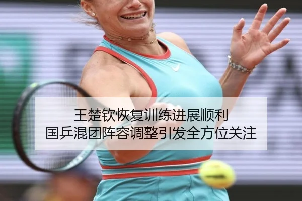 王楚钦恢复训练进展顺利 国乒混团阵容调整引发全方位关注 | LDSPORTS